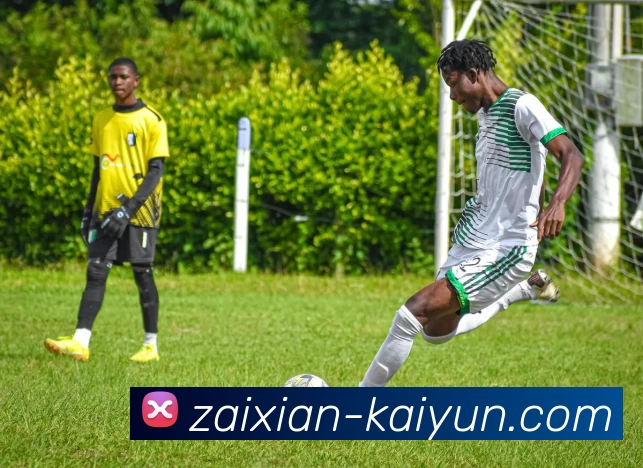 kaiyun平台生态图